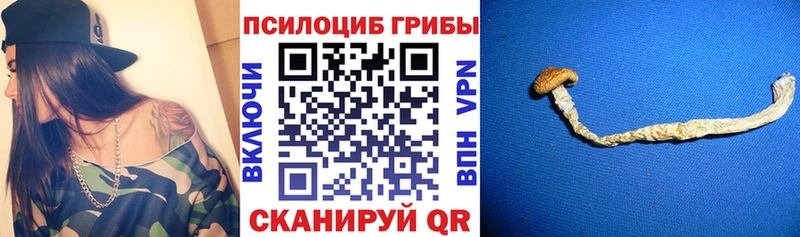 Купить где  Рубцовск  Галлюциногенные грибы прущие грибы 